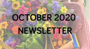 The october 2020 monthly newsletter